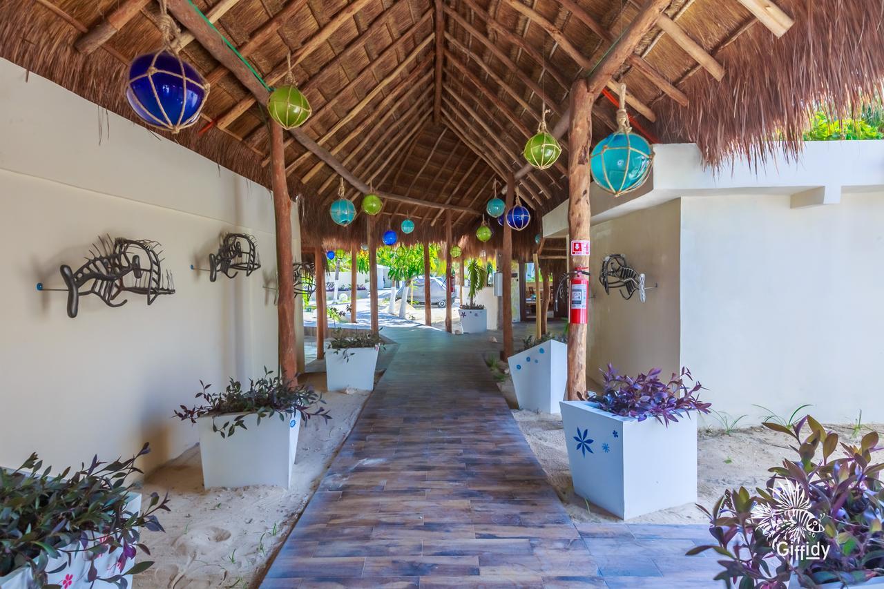 Hotel Paradise Suites Isla Mujeres Exterior photo